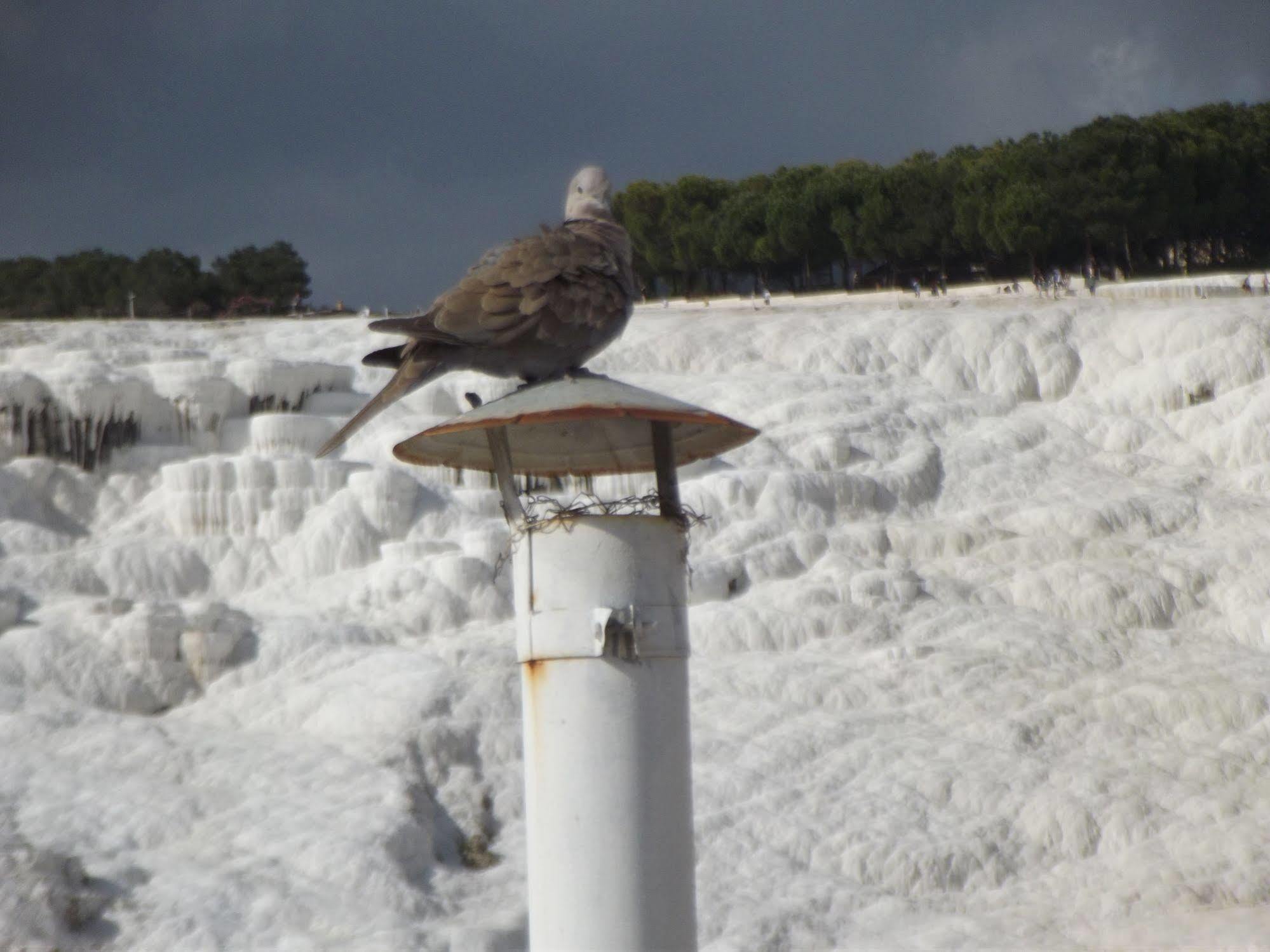 Hotel Hal-Tur Pamukkale Luaran gambar